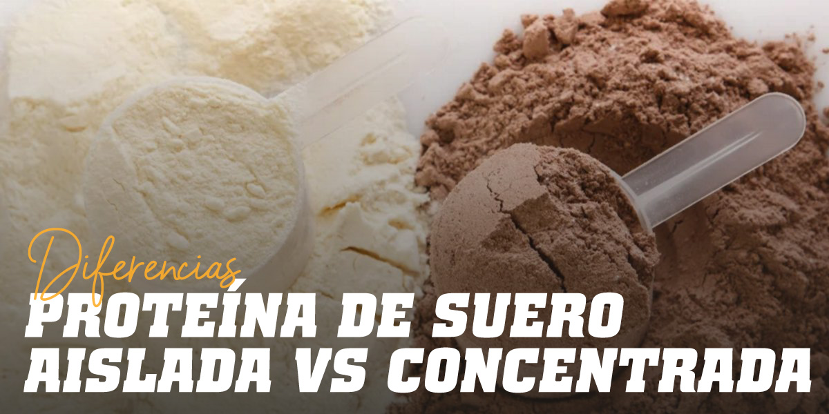 Diferencias entre la proteína de suero aislada y concentrada