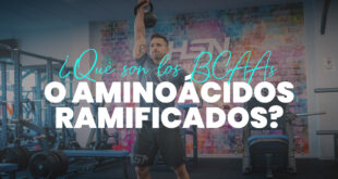 BCAA qué son