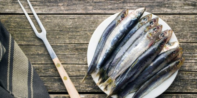 Sardinas – Beneficios de este SuperAlimento