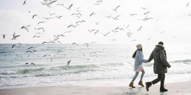 ¿Qué sabes sobre los 9 Sorprendentes Beneficios del Aceite de Krill?