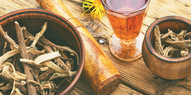Harpagofito, ¿un Agente Antiinflamatorio?