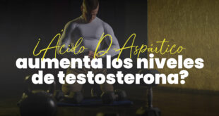 ¿El Ácido Aspártico aumenta los niveles de testosterona?