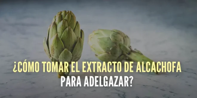 5 formas sencillas de tomar alcachofa para apoyar la pérdida de peso