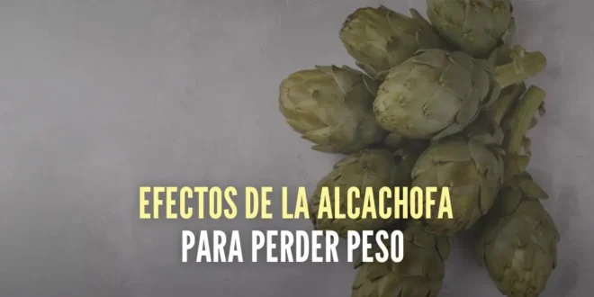 7 Efectos positivos de la alcachofa para perder peso y cuidar tu salud