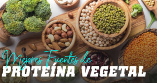Las mejores fuentes de proteína vegetal