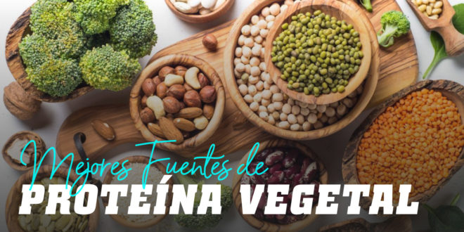 Las 12 fuentes principales de proteína vegetal