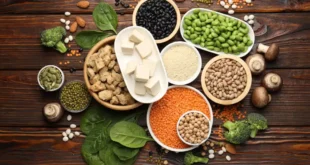 Las 12 fuentes principales de proteína vegetal