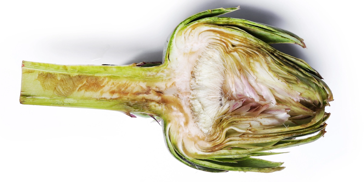 Propiedades de la alcachofa