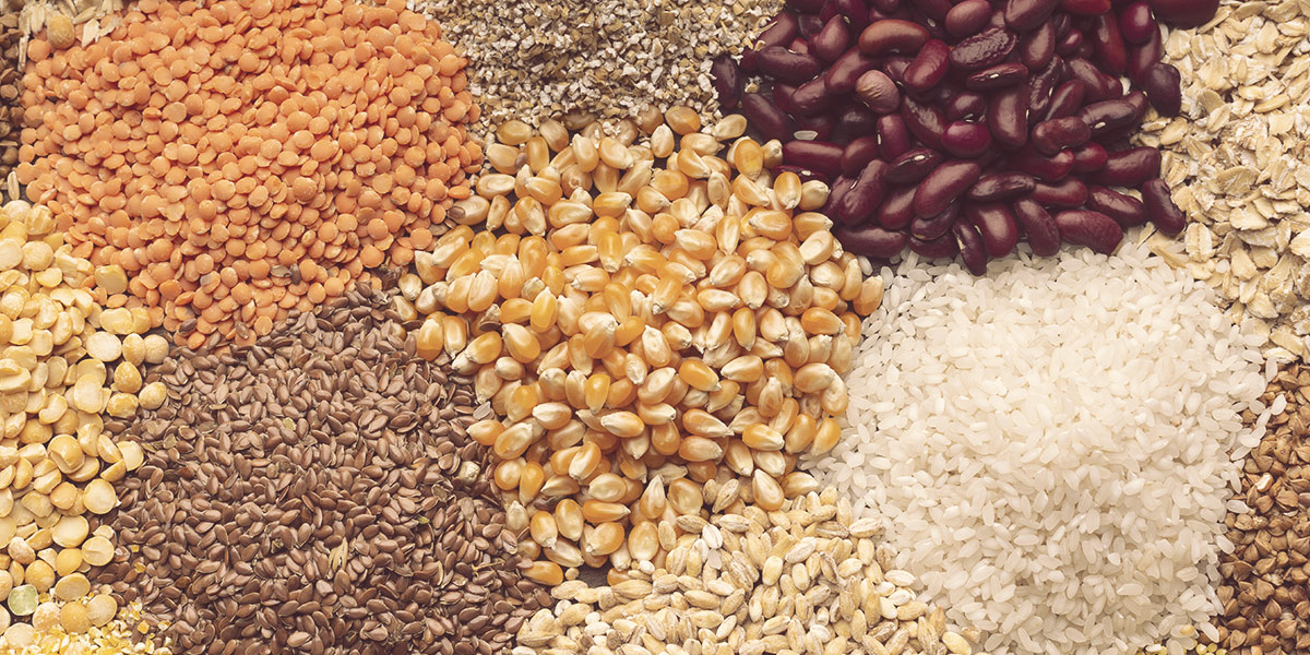 cuales son las proteinas vegetales