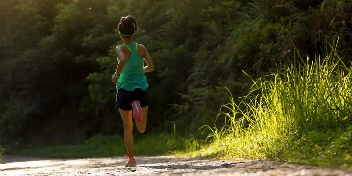 ALA y Salud Cardiovascular