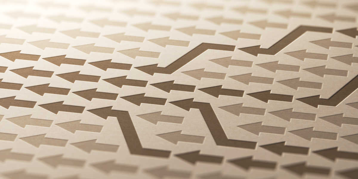 ¿Cómo convergen vitamina K y vitamina D?