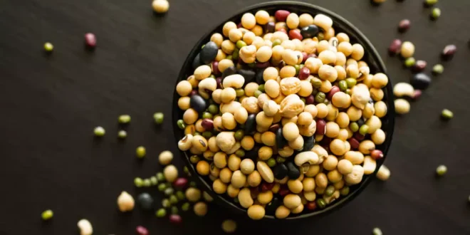 Los 15 alimentos más ricos en ácido fólico o vitamina B9 Los 15 alimentos más ricos en ácido fólico o vitamina B9