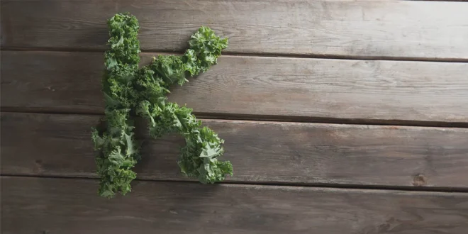 Los alimentos con más Vitamina K Los alimentos con más Vitamina K