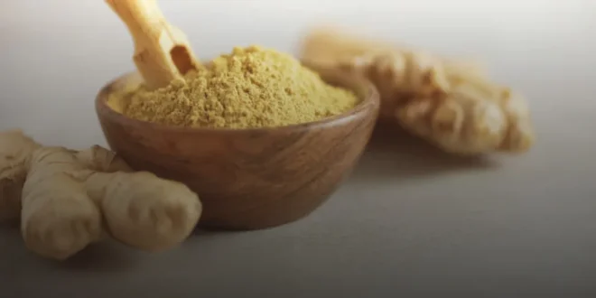 Jengibre, Propiedades y Beneficios para tu Salud Jengibre, Propiedades y Beneficios para tu Salud