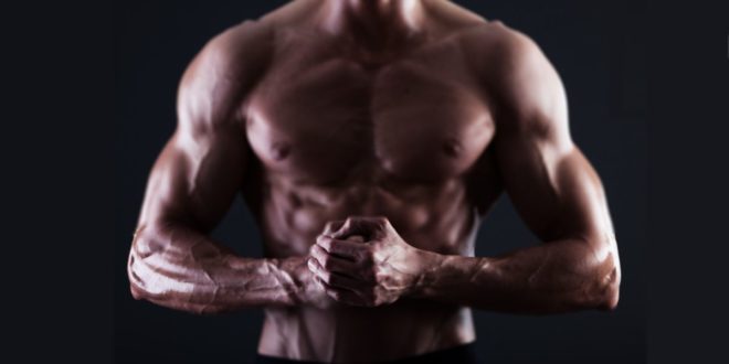 Ácido Araquidónico – ¿Más Masa Muscular y Fuerza?