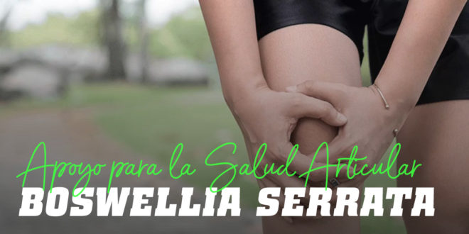 Boswellia Serrata: Remedio Natural para el Dolor Articular