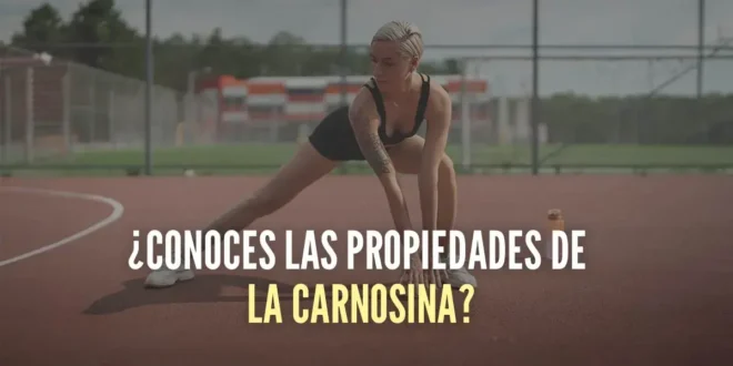 Carnosina: Propiedades y Beneficios Carnosina: Propiedades y Beneficios