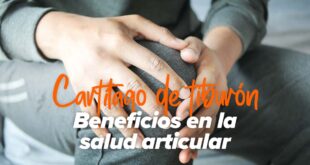 Cartilago de Tiburon