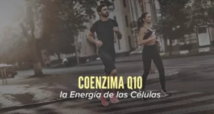 Coenzima Q10, la Energía de las Células