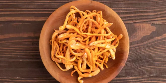 Hongo Cordyceps: Propiedades, Beneficios y Rendimiento Deportivo