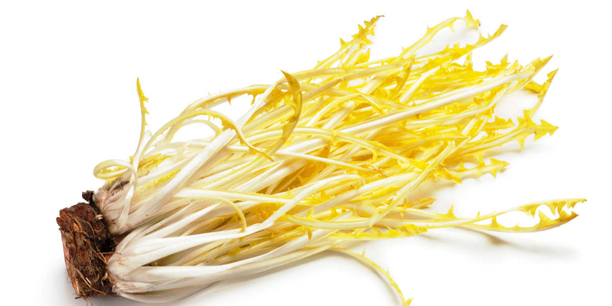 ¿Cómo tomar el diente de león para obtener los beneficios?