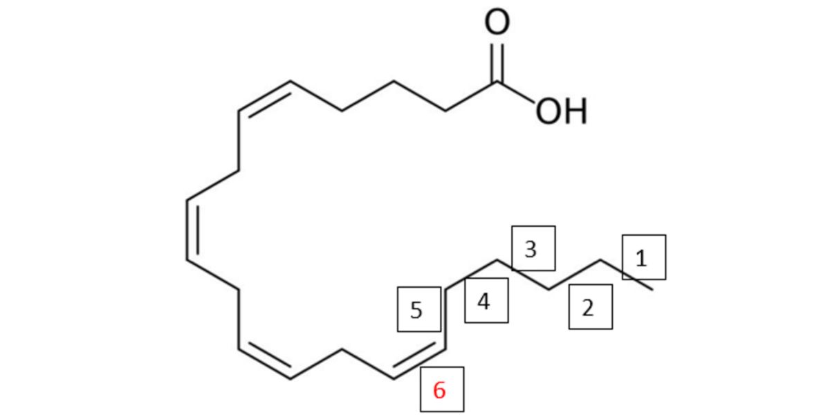 Estructura molecular ácido araquidónico 