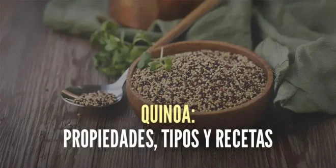 Quinoa, Propiedades y Recetas del Superalimento Quinoa, Propiedades y Recetas del Superalimento