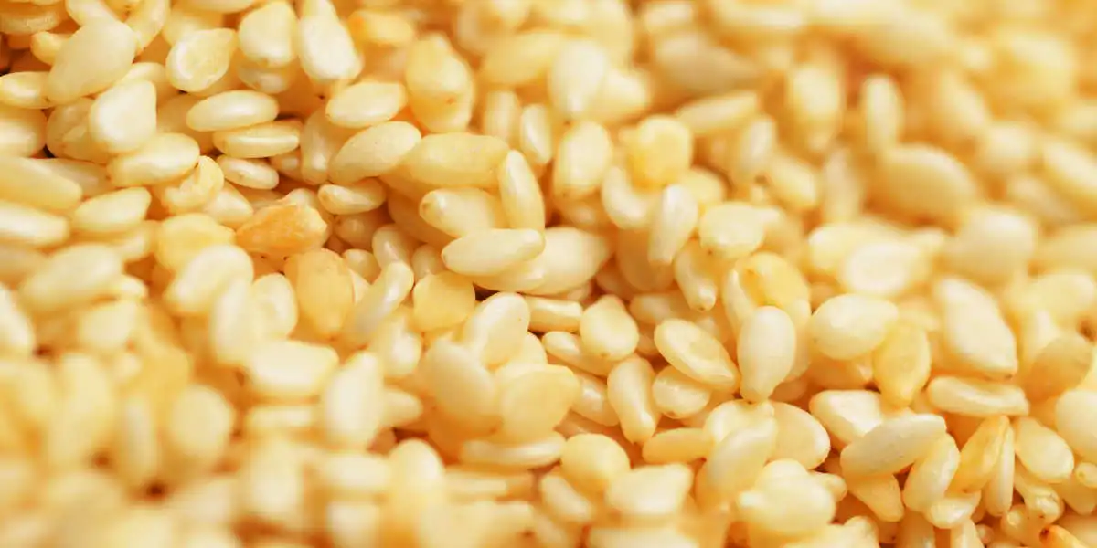 Fuentes de coenzima q10