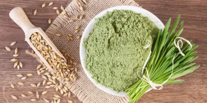 Hierba de Cebada: Beneficios y Propiedades de este Superalimento