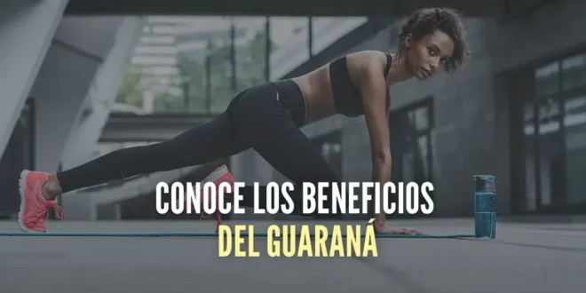 Guaraná: Propiedades, beneficios y contraindicaciones