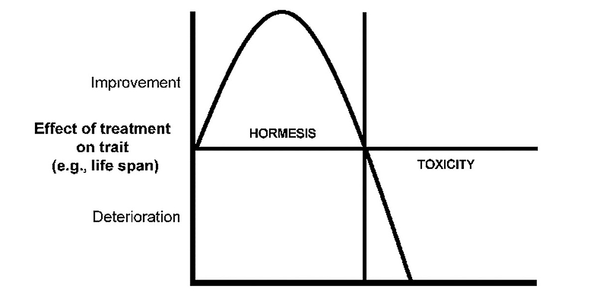 Hormèse