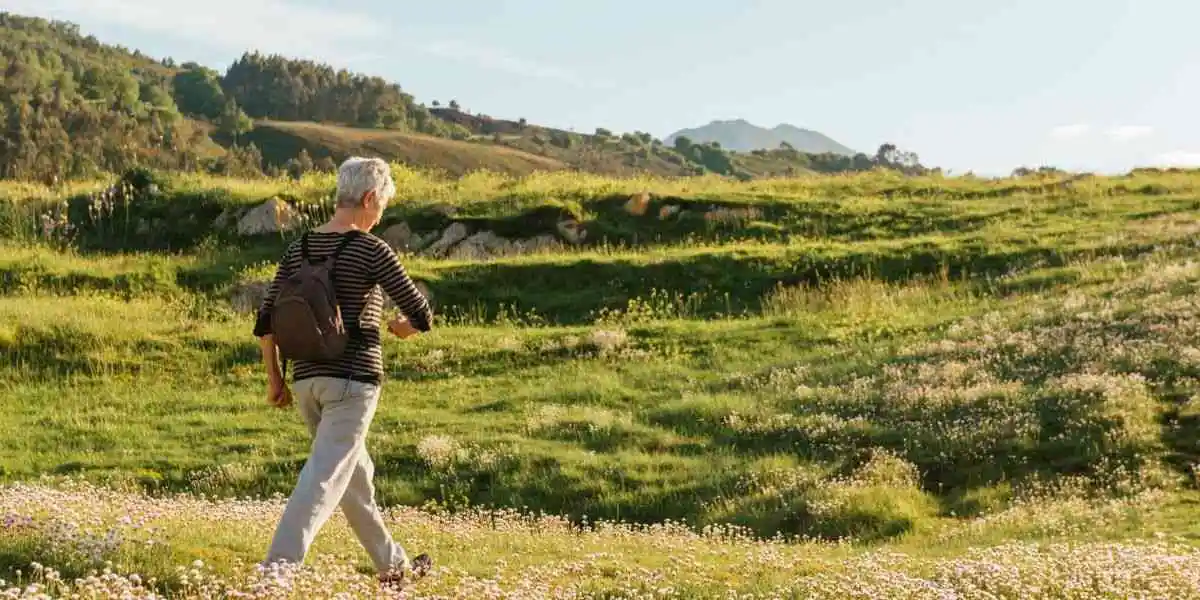 Guaraná energizante e vitalidade