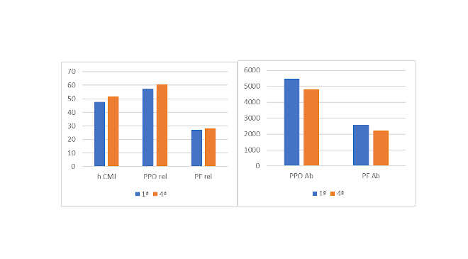 Capacidad de salto baloncesto