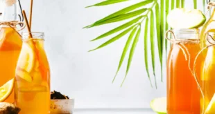 Té kombucha: Un probiótico de excepción