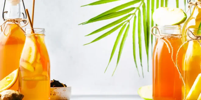 Té kombucha: Un probiótico de excepción Té kombucha: Un probiótico de excepción