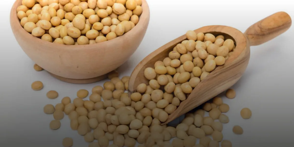 Lecitina de Soja: un protector natural de la salud