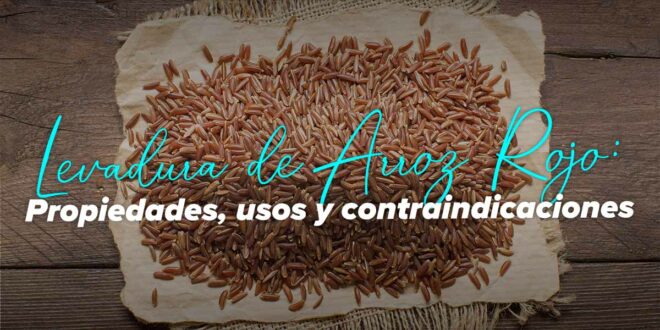 Levadura de Arroz Rojo: Propiedades, Contraindicaciones y Efectos Secundarios