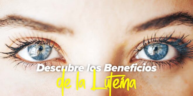 Luteína: Beneficios para la salud ocular y cómo obtenerla Luteína: Beneficios para la salud ocular y cómo obtenerla