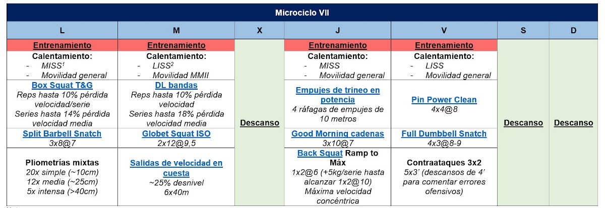 Microciclo VII Sessioni in palestra nel basket