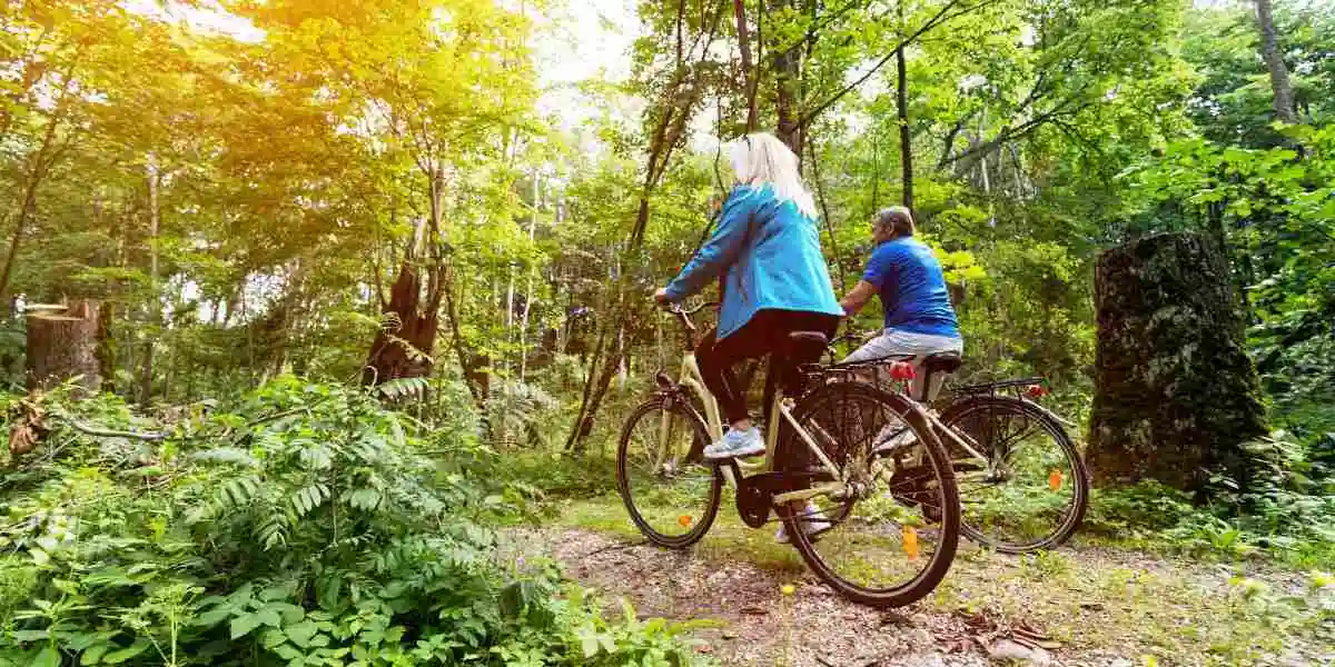 Coppia in bici nella foresta