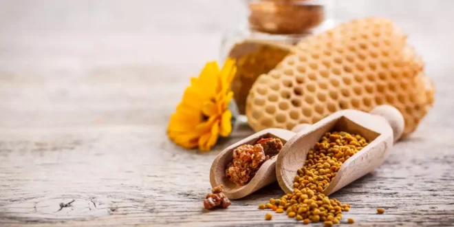 Propóleo o Própolis: El antibiótico natural de las abejas Propóleo o Própolis: El antibiótico natural de las abejas