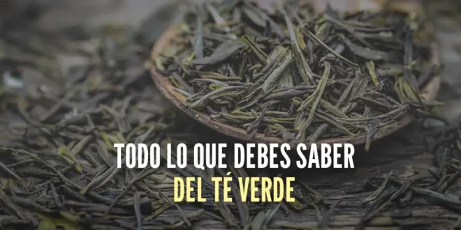 Té Verde: Todo lo que debes saber sobre este antioxidante Té Verde: Todo lo que debes saber sobre este antioxidante