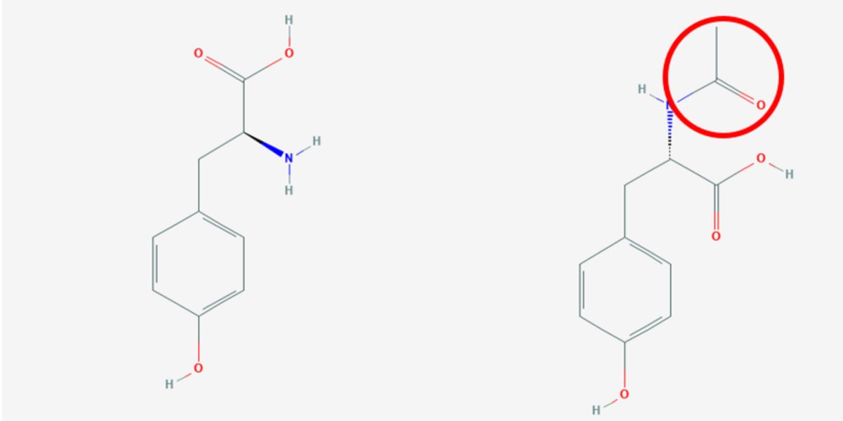 Integratore Everest Nutrition Senza OGM N-Acetil L-Tirosina 750mg Compresse - Supporto Concentrazione, Umore, Energia E Gestione Stress N Acetil L Tirosina