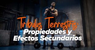 Tribulus Terrestris, Beneficios y Efectos Secundarios