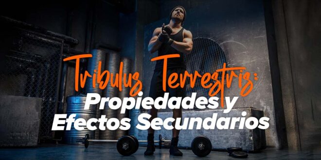 Tribulus Terrestris: Propiedades y Efectos Secundarios