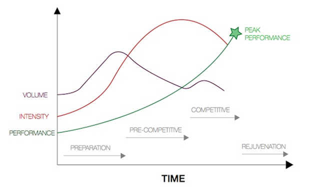 Variabili dell’allenamento palestra basket