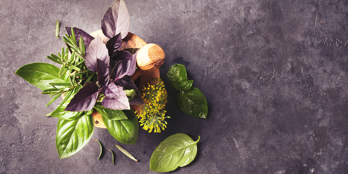 Interacciones de la Berberina con Suplementos