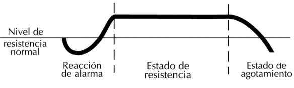 Figura 2