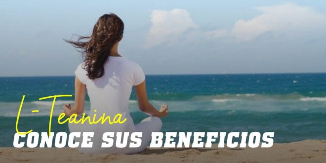 L-Teanina: Descubre el aminoácido para combatir el estrés L-Teanina: Descubre el aminoácido para combatir el estrés