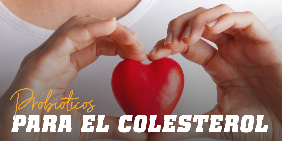 ¿Los Probióticos reducen el colesterol malo?
